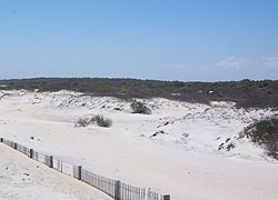 [photo, Assateague Island National Seashore (Worcester County), Maryland]