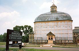  [photo, Palms, Howard P. Rawlings Conservatory & Botanic Gardens, Druid Hill Park, 3100 Swan Drive, Baltimore, Maryland]