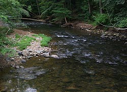 [photo, Little Gunpowder Falls (tributary of Gunpowder River), Baltimore & Harford Counties, Maryland]